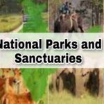 National Parks and Wildlife Sanctuaries