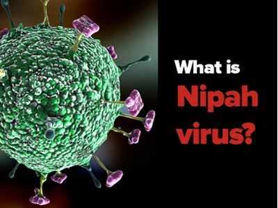 Nipah virus,  Nipah virus Update @gkduniya.in