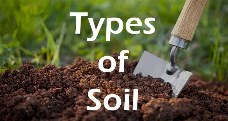 Soil Types, types-of-soils gkduniya