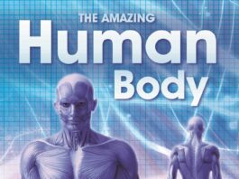 Amazing Human Body, gkduniya.in