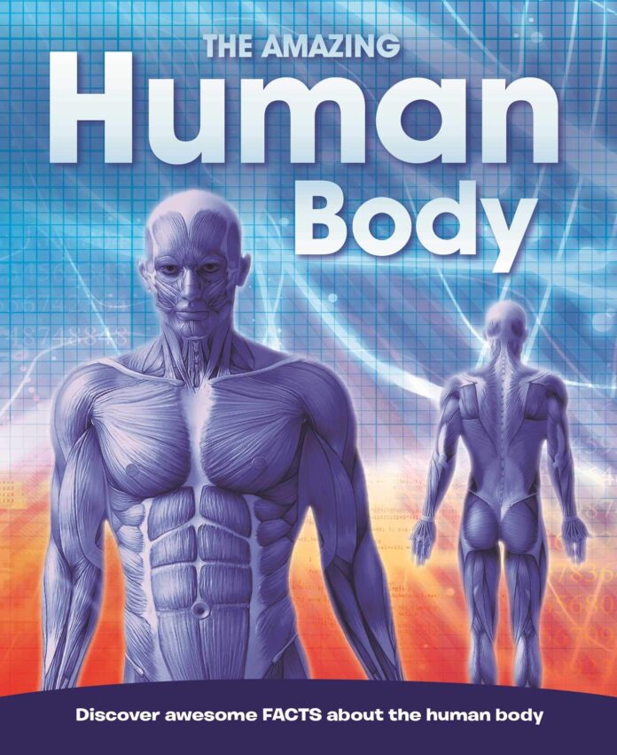Amazing Human Body, gkduniya.in